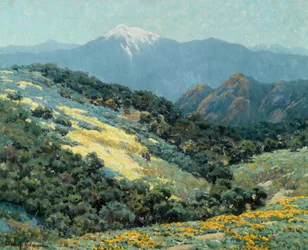 Splendore della valle